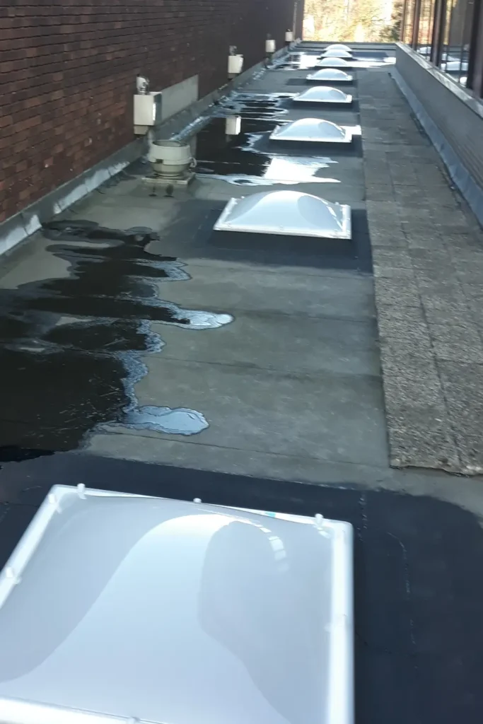 Vervangen Lichtkoepels • Waddinxveen